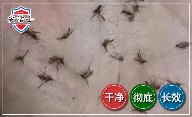 琼海蚊子防治-灭蚊