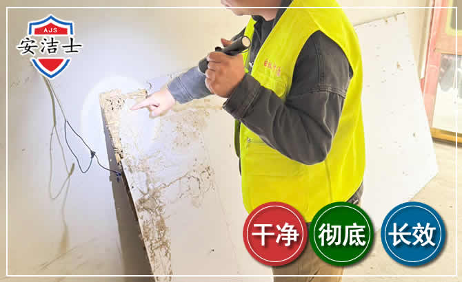 琼海除白蚁现场