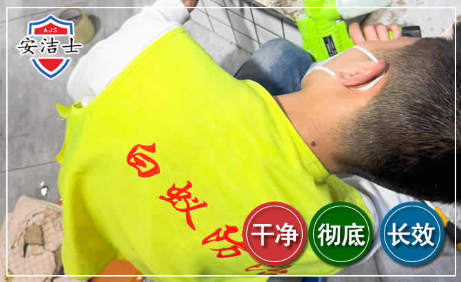 琼海白蚁根治现场